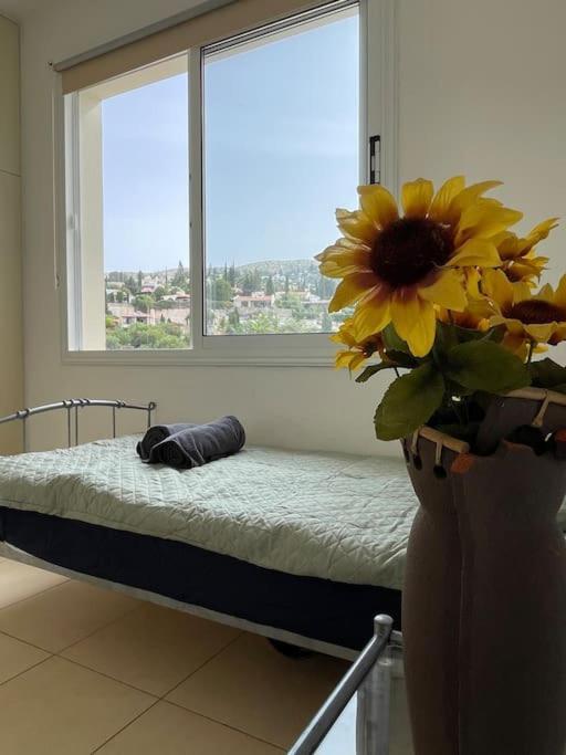2 Bed Mountains And Costal Views With Pool Apartment